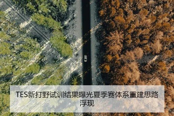 TES新打野试训结果曝光夏季赛体系重建思路浮现